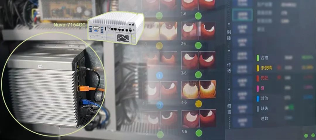 禽蛋胚胎检测 3.png 禽蛋胚胎检测 3.png