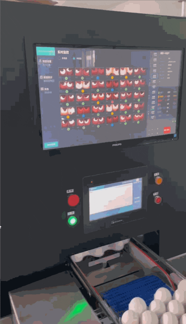 禽蛋胚胎检测 2.gif 禽蛋胚胎检测 2.gif